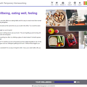 Screenshot of your wellbeing, eating well, feeling well homeworking page