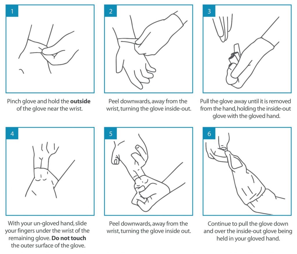 COVID-Safe Handbook - Cardinus